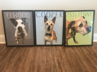 3 dog pop arts in black frames